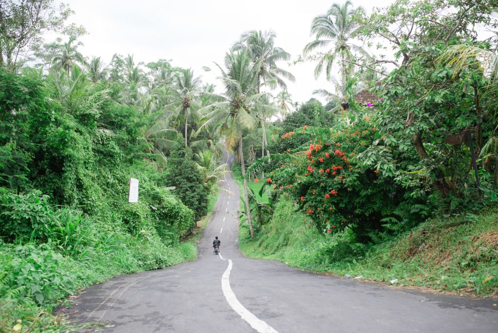 Bali Ubud