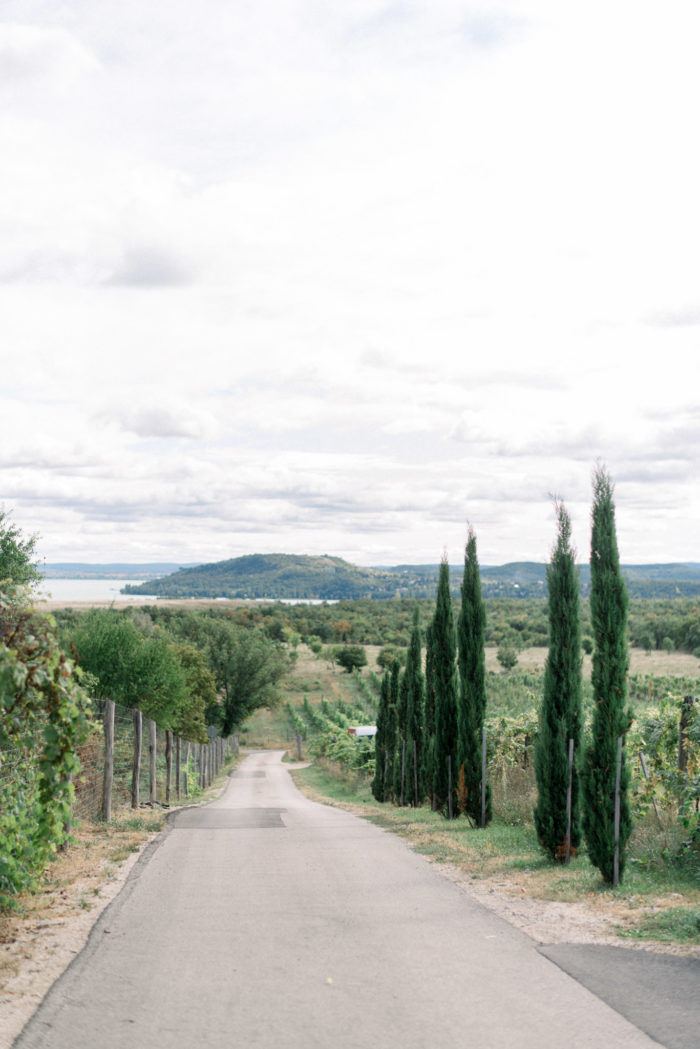 Exclusive Wedding Villa Vitae Teodora Simon Photography